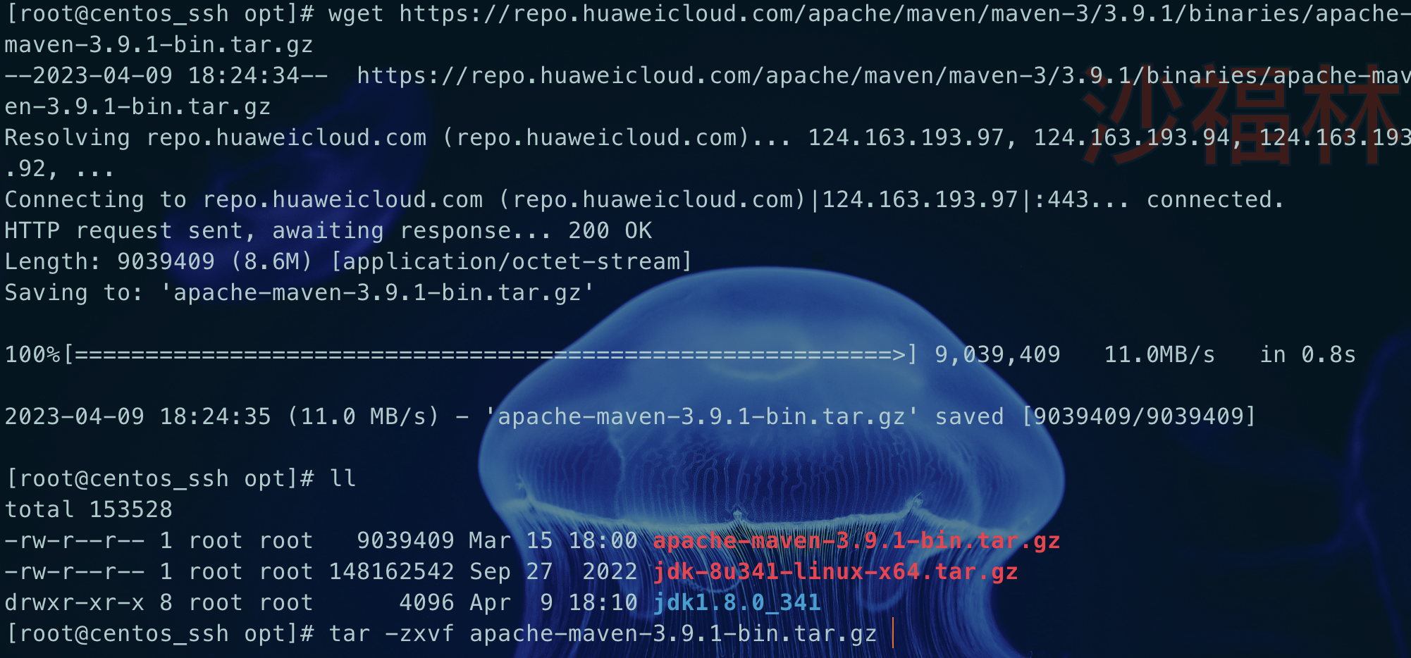 linux-maven下载解压